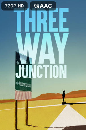 3 Way Junction