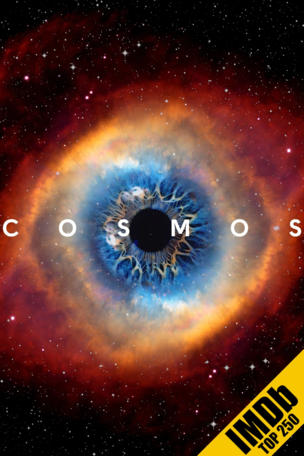 Cosmos: A Spacetime Odyssey