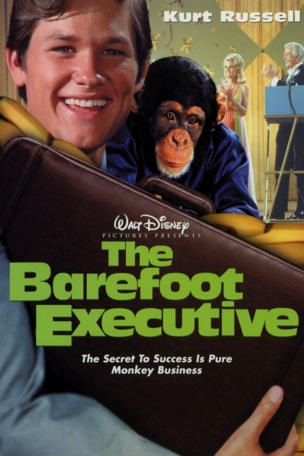 Barefoot Executive