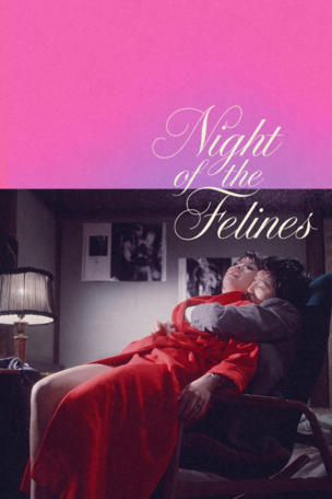 Night of the Felines