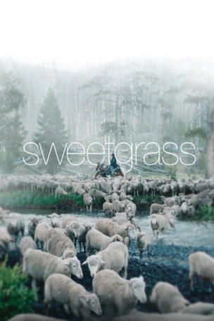 Sweetgrass