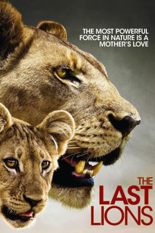 Last Lions