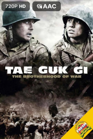 Tae Guk Gi: The Brotherhood of War